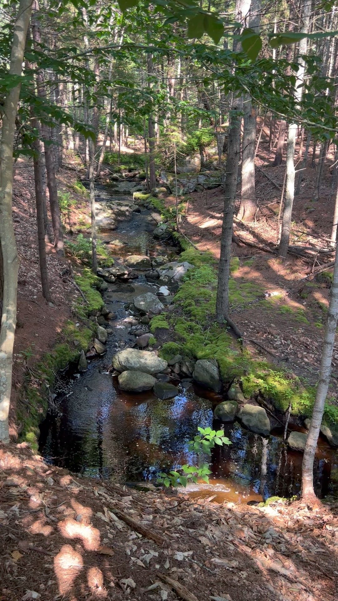Devil’s Drean, the creek that runs under the Boathouse