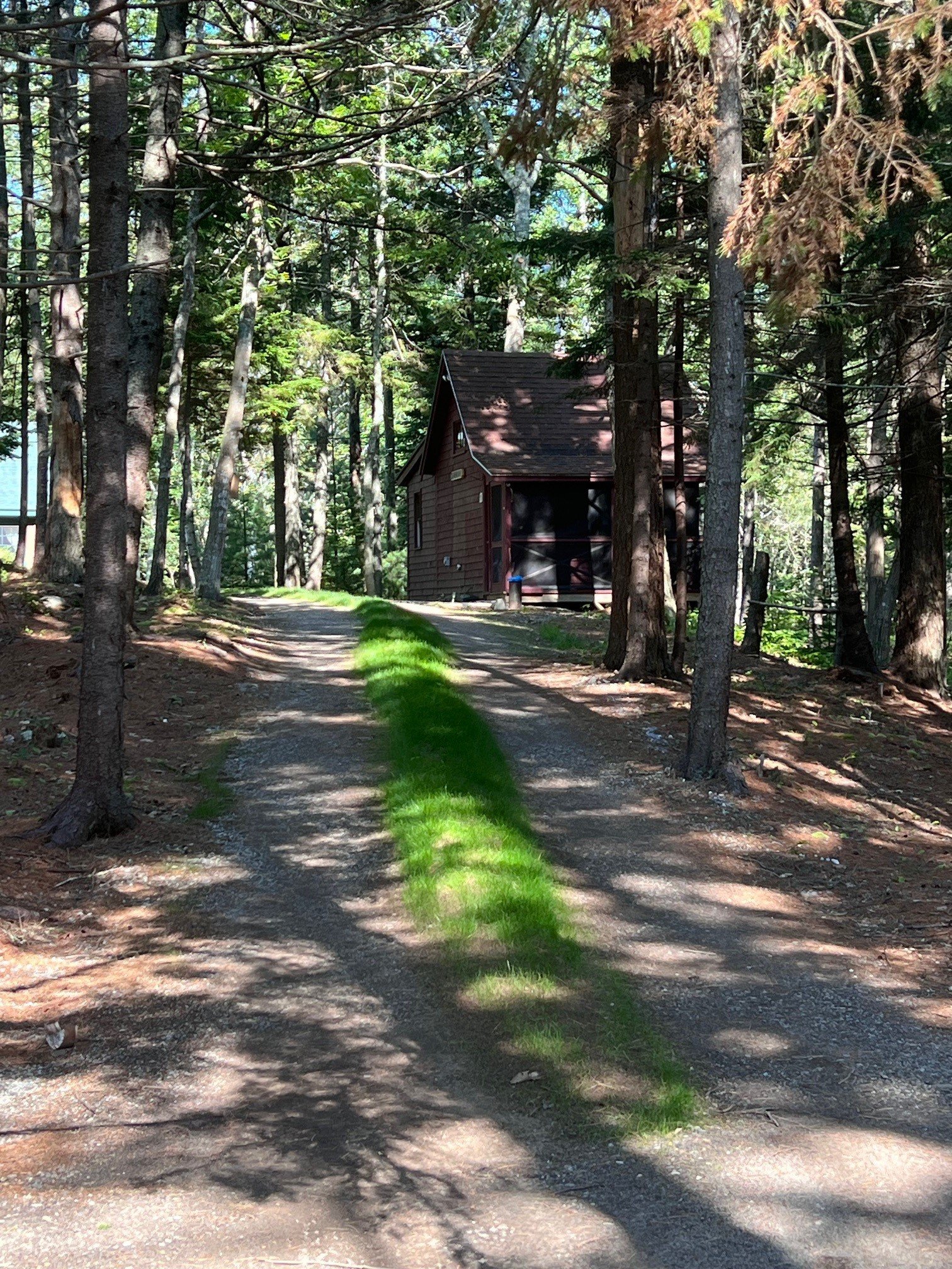Driveway from the Boathouse to the Ice House